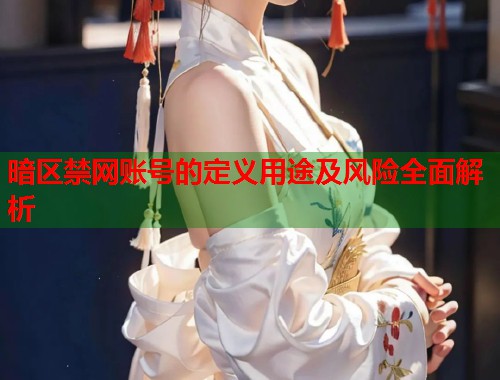 暗区禁网账号的定义用途及风险全面解析  第1张