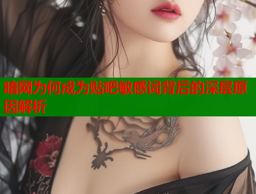 暗网为何成为贴吧敏感词背后的深层原因解析  第1张