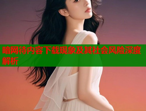 暗网待内容下载现象及其社会风险深度解析  第1张