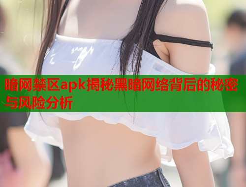 暗网禁区apk揭秘黑暗网络背后的秘密与风险分析  第1张