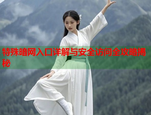 特殊暗网入口详解与安全访问全攻略揭秘  第1张