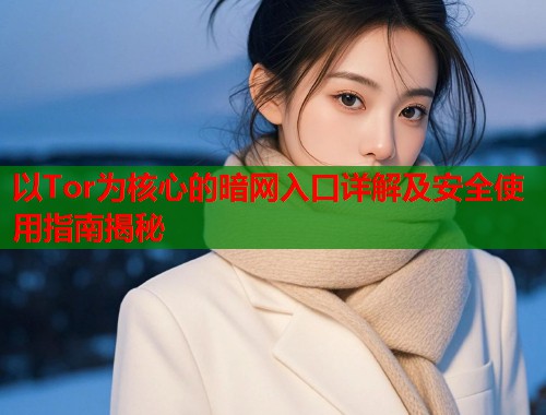 以Tor为核心的暗网入口详解及安全使用指南揭秘