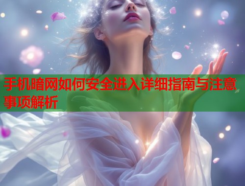 手机暗网如何安全进入详细指南与注意事项解析  第1张