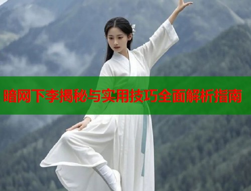 暗网下李揭秘与实用技巧全面解析指南  第1张