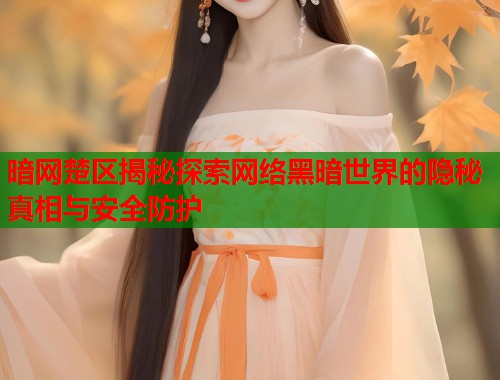 暗网楚区揭秘探索网络黑暗世界的隐秘真相与安全防护  第2张