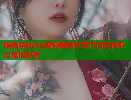 暗网禁地Ap揭秘黑暗世界背后的神秘与危机探索