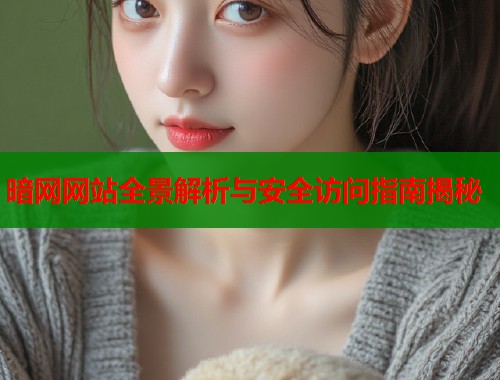 暗网网站全景解析与安全访问指南揭秘  第1张