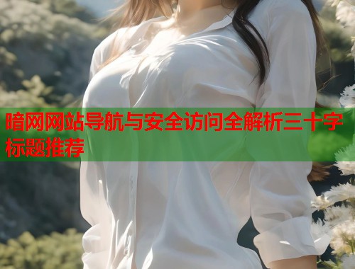 暗网网站导航与安全访问全解析三十字标题推荐  第1张