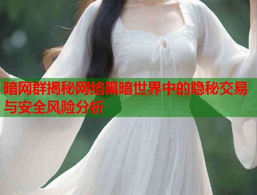 暗网群揭秘网络黑暗世界中的隐秘交易与安全风险分析  第1张