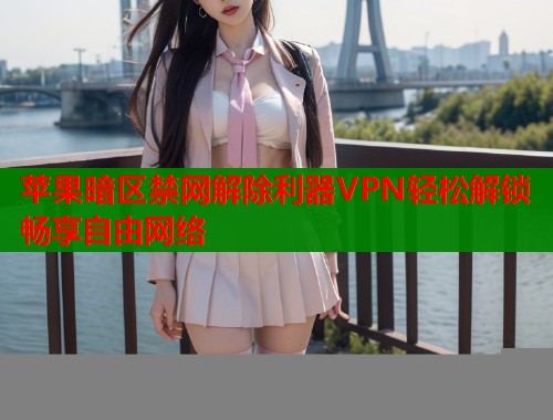 苹果暗区禁网解除利器VPN轻松解锁畅享自由网络  第2张